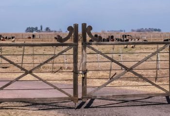 El Gobierno avanza con cambios a la ley de tierras para abrir más compra extranjera