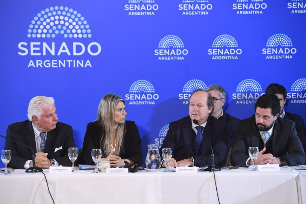El Senado pone la lupa sobre el Súper RIGI y Guberman irá a defenderlo la semana próxima