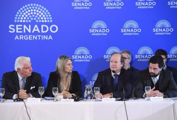 El Senado pone la lupa sobre el Súper RIGI y Guberman irá a defenderlo la semana próxima